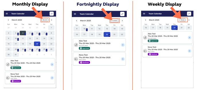 Portal_TeamCalendarDisplays