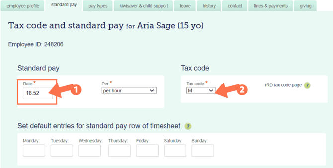 Minor_StandardPaySetup